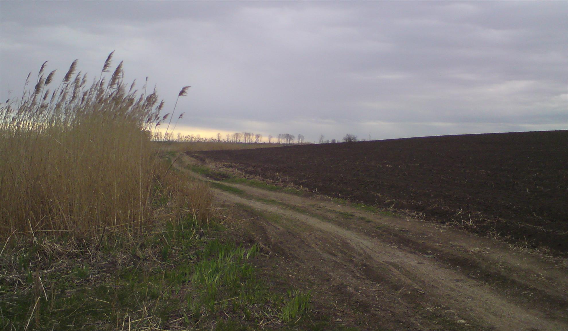 Movilita-Inceputuri..... - dsc00030.JPG